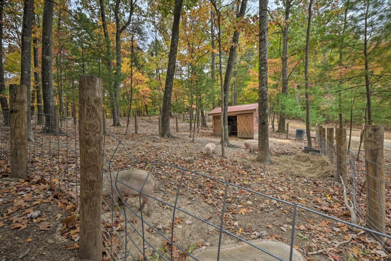 Cheyenne Ranch Apt With 50 Acres By Raystown Lake 헌팅던 외부 사진
